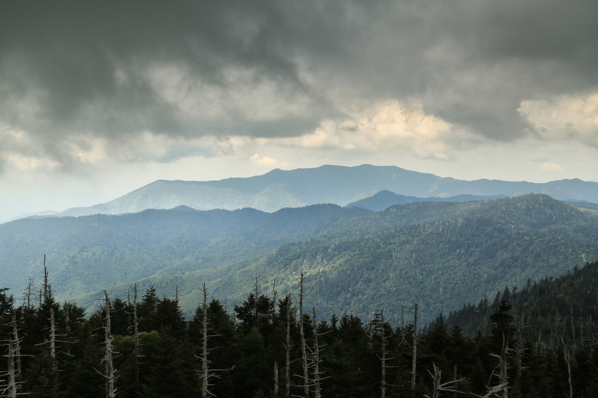 clingmans dome observation tower