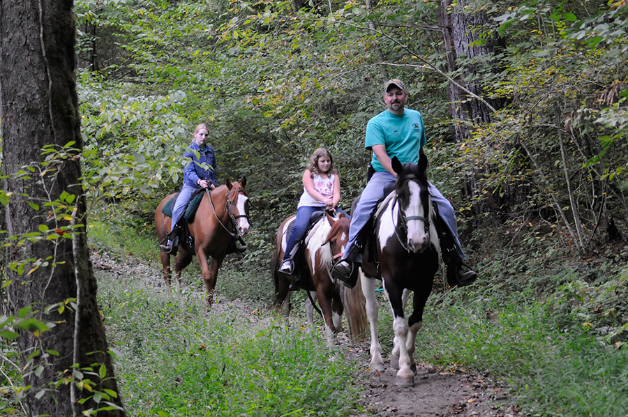 GSMNP-Smokemont-horses-900 Three people on horseback ride, Smokemont NC