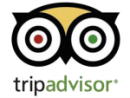 Trip Advisor owl logo