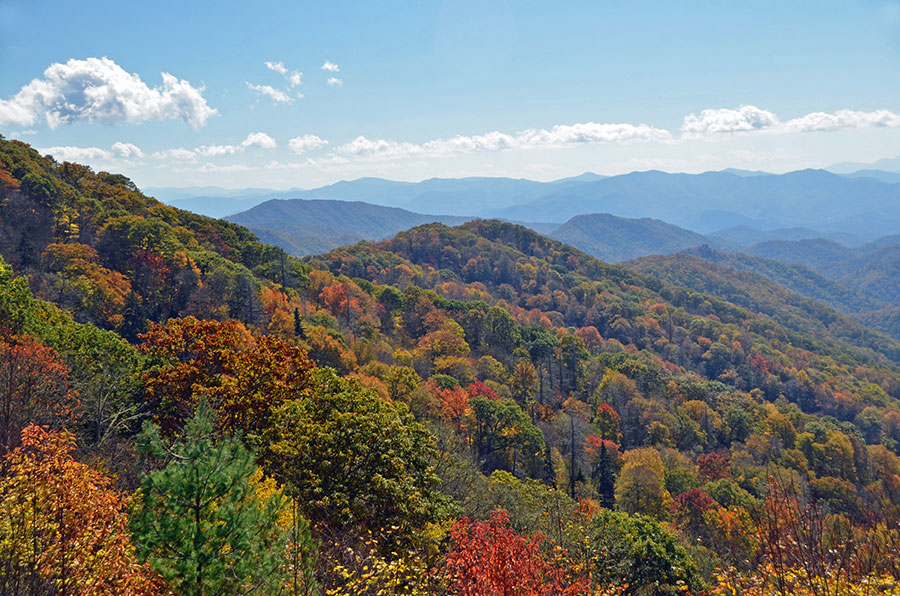 Scenic Day Trip through the Great Smoky Mountains National Park