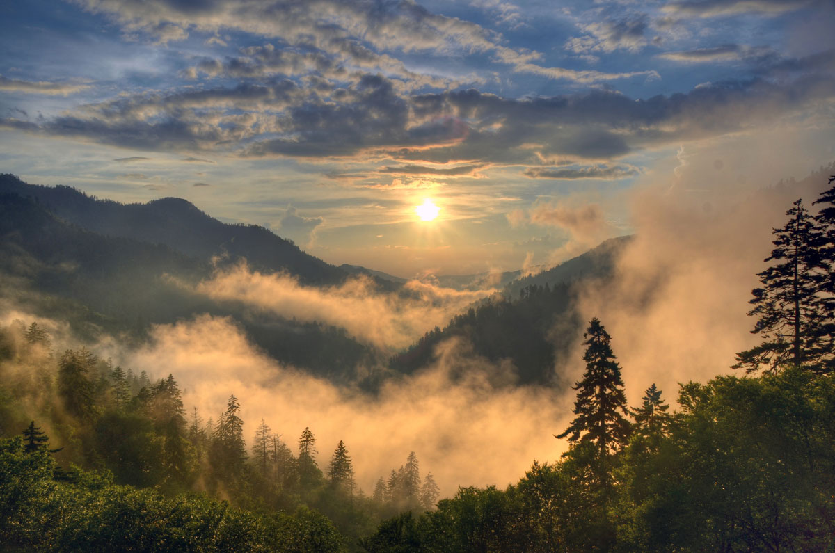 Take This Mini Road Trip to Capture Some of the Best Photography in the Great Smoky Mountains National Park