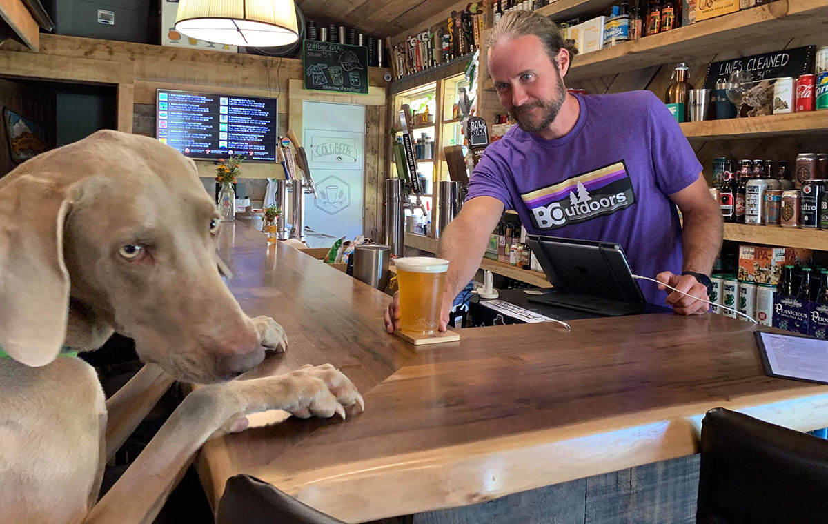 Where to Drink Beer with Your Dog in Bryson City