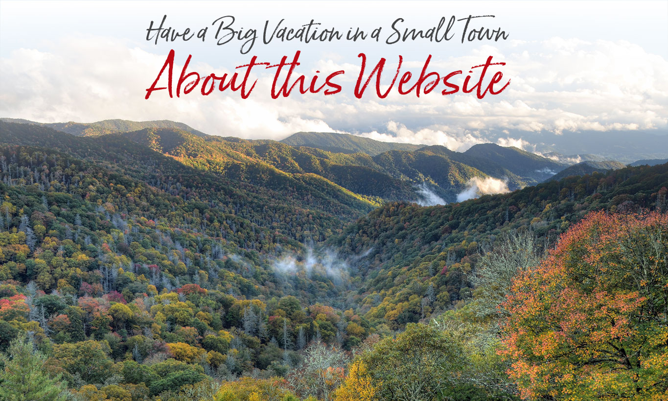 About-this-website