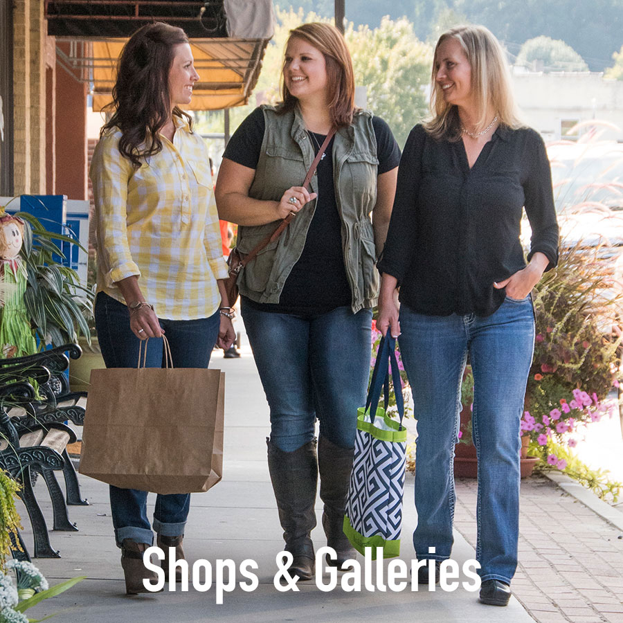 Three Bryson city shoppers