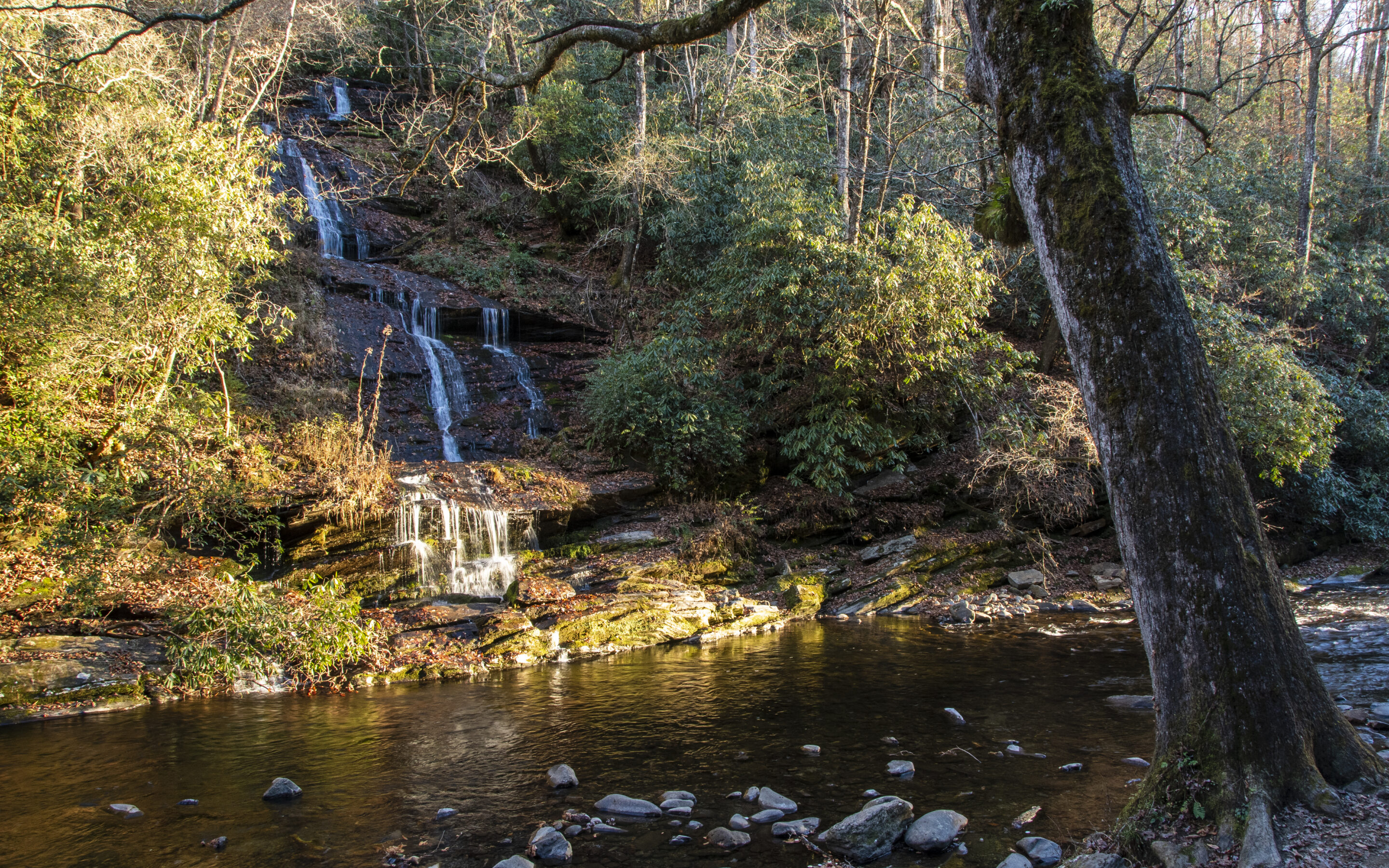 Eight Great Ways to Enjoy Your Winter Getaway in Bryson City