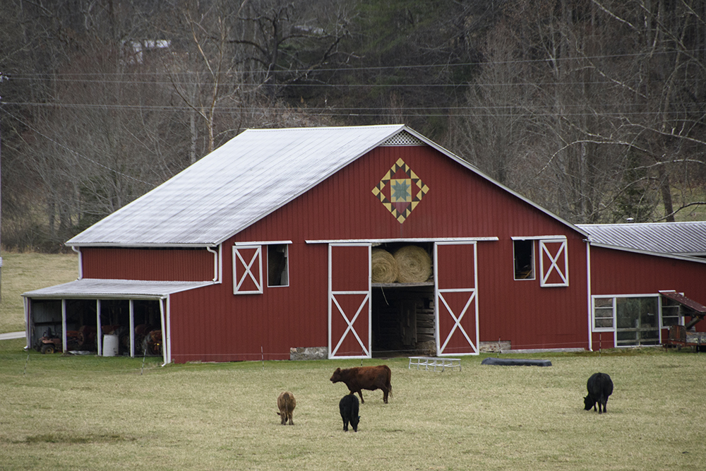 Exploring Swain County Quilt by Quilt