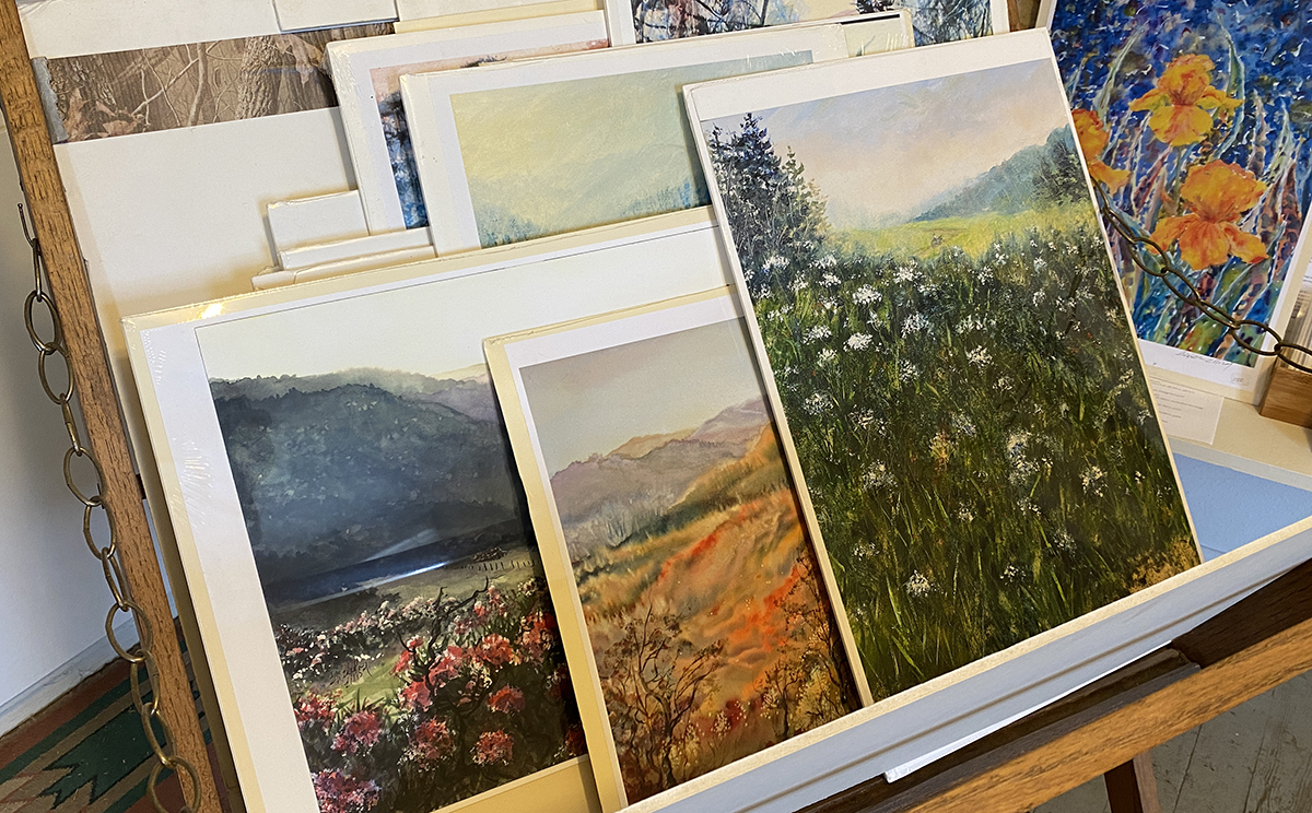 Want a Lasting Reminder of Your Time In The Smokies? Consider an Original Painting By One of These Bryson City Artists.