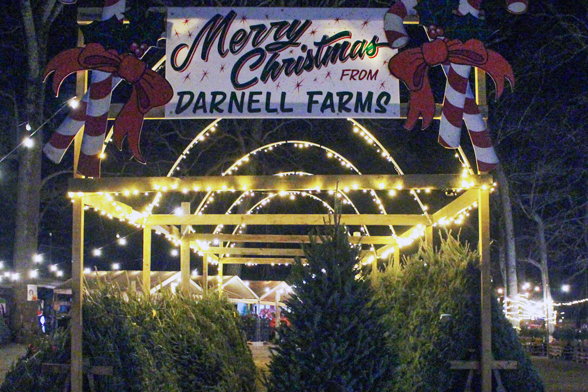 Darnell Farms Christmas Festival